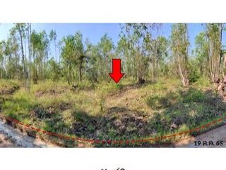 For sale land in Nong Bua Daeng, Chaiyaphum