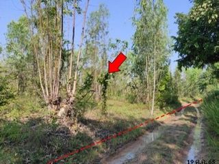 For sale land in Nong Bua Daeng, Chaiyaphum