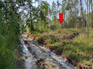 For sale land in Nong Bua Daeng, Chaiyaphum