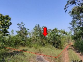 For sale land in Nong Bua Daeng, Chaiyaphum