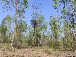 For sale land in Nong Bua Daeng, Chaiyaphum