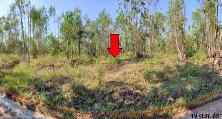 For sale land in Nong Bua Daeng, Chaiyaphum