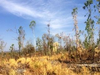 出售 土地 在 Nong Bua Daeng, Chaiyaphum