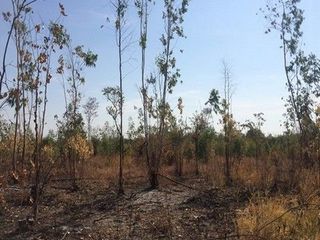 出售 土地 在 Nong Bua Daeng, Chaiyaphum