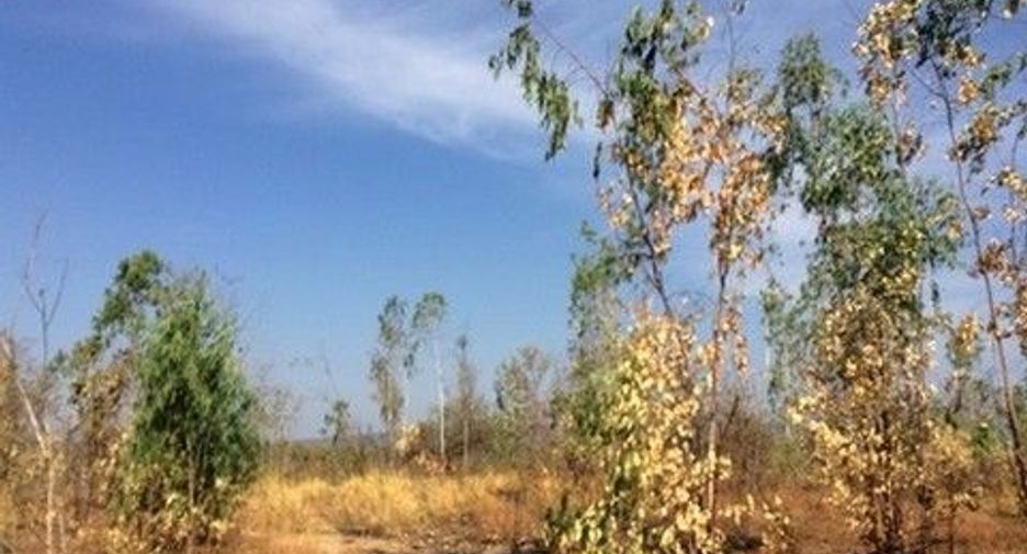 For sale land in Nong Bua Daeng, Chaiyaphum