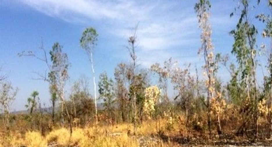 For sale land in Nong Bua Daeng, Chaiyaphum
