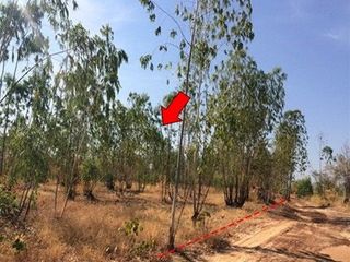 出售 土地 在 Nong Bua Daeng, Chaiyaphum