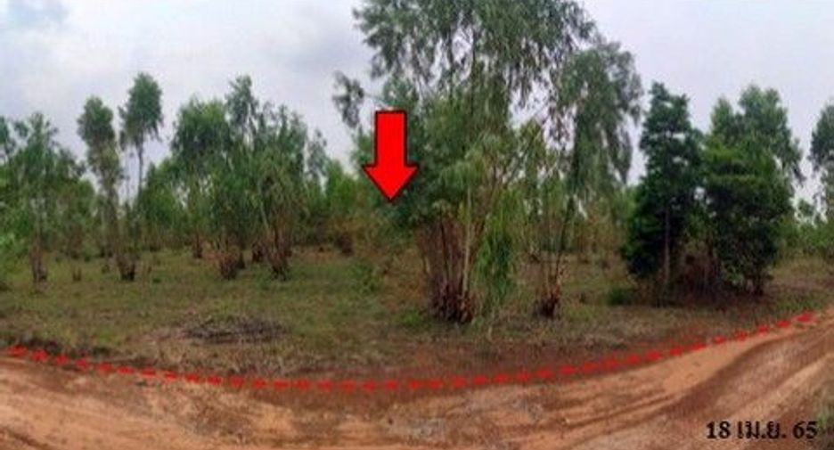 For sale land in Nong Bua Daeng, Chaiyaphum