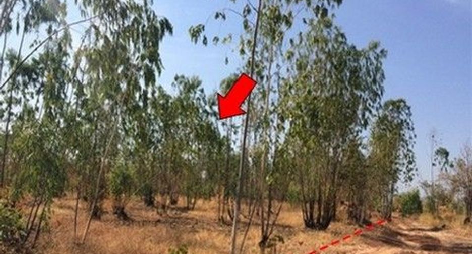 For sale land in Nong Bua Daeng, Chaiyaphum