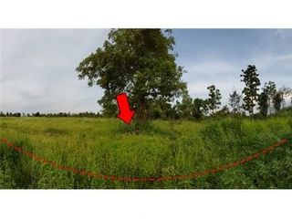 出售 土地 在 Nong Bua Daeng, Chaiyaphum