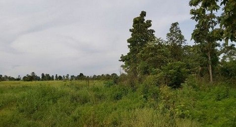 For sale land in Nong Bua Daeng, Chaiyaphum