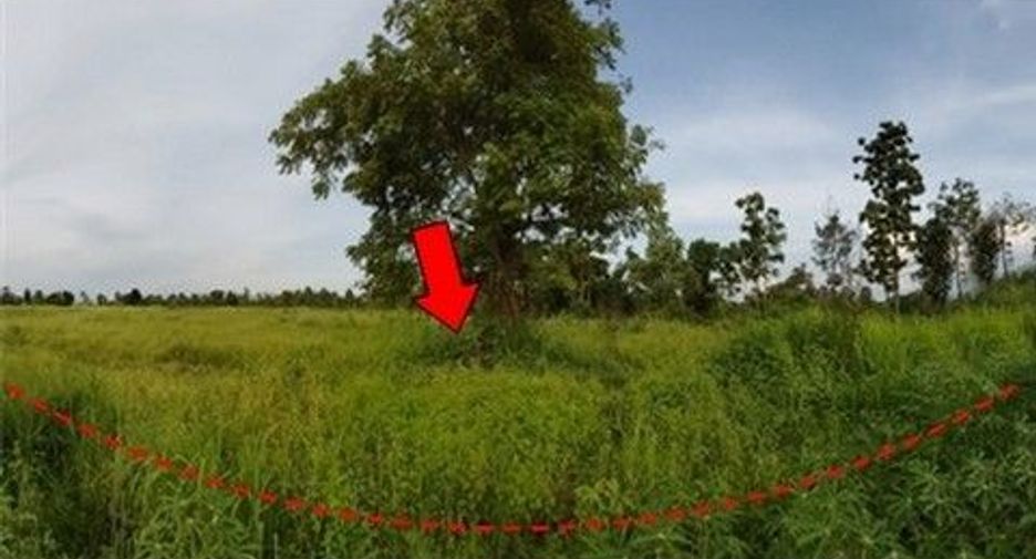 For sale land in Nong Bua Daeng, Chaiyaphum
