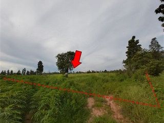 出售 土地 在 Nong Bua Daeng, Chaiyaphum
