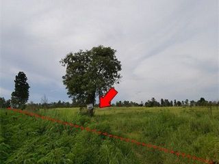 出售 土地 在 Nong Bua Daeng, Chaiyaphum