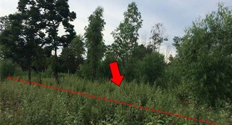 For sale land in Nong Bua Daeng, Chaiyaphum