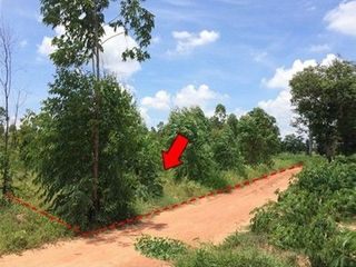 出售 土地 在 Nong Bua Daeng, Chaiyaphum