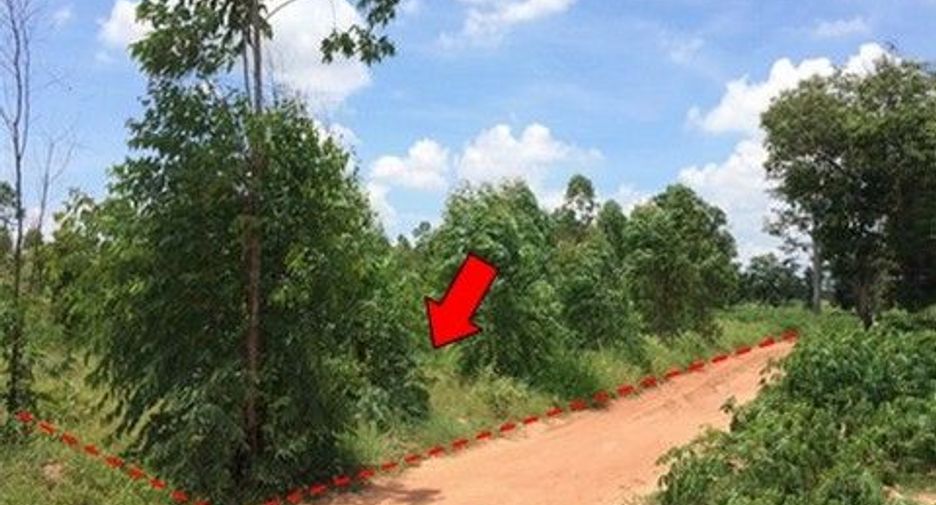 For sale land in Nong Bua Daeng, Chaiyaphum
