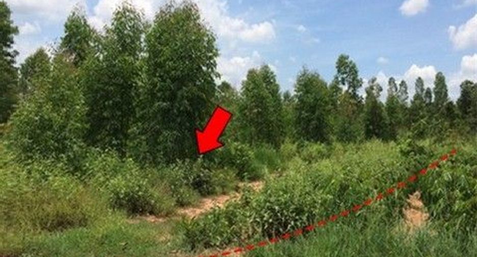 For sale land in Nong Bua Daeng, Chaiyaphum