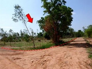 出售 土地 在 Nong Bua Daeng, Chaiyaphum
