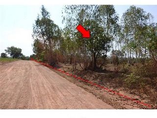 出售 土地 在 Nong Bua Daeng, Chaiyaphum
