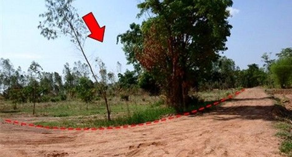 For sale land in Nong Bua Daeng, Chaiyaphum