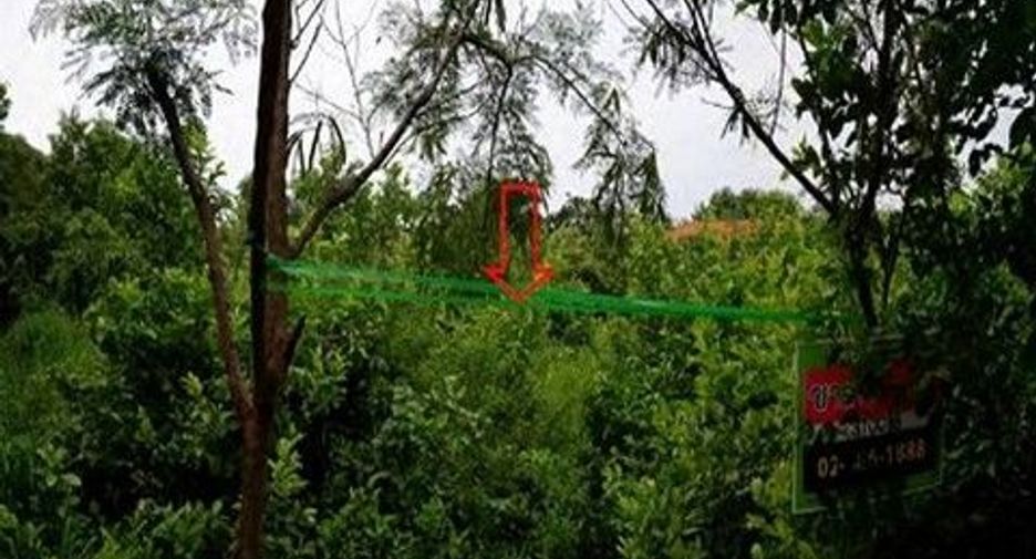 For sale land in Nong Bua Daeng, Chaiyaphum