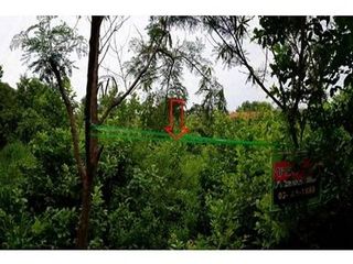 出售 土地 在 Nong Bua Daeng, Chaiyaphum