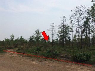 出售 土地 在 Nong Bua Daeng, Chaiyaphum