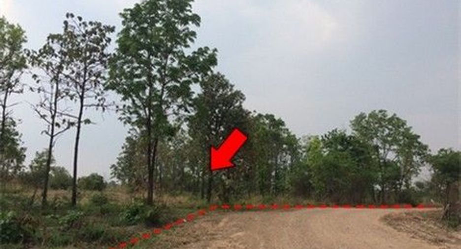 For sale land in Nong Bua Daeng, Chaiyaphum