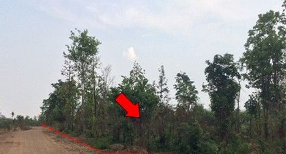 For sale land in Nong Bua Daeng, Chaiyaphum