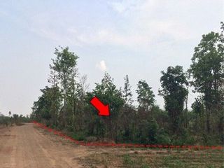 出售 土地 在 Nong Bua Daeng, Chaiyaphum