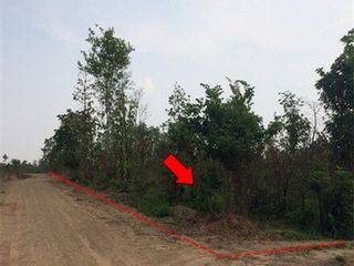 出售 土地 在 Nong Bua Daeng, Chaiyaphum