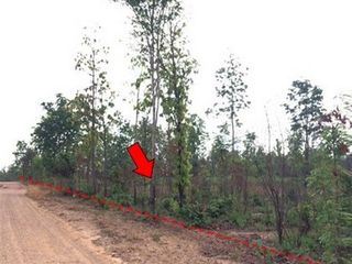 出售 土地 在 Nong Bua Daeng, Chaiyaphum