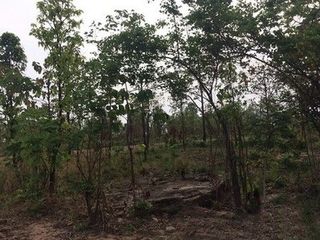 出售 土地 在 Nong Bua Daeng, Chaiyaphum
