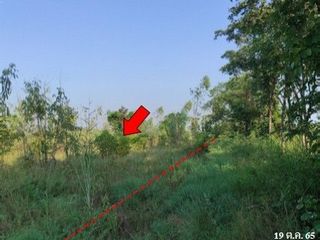 出售 土地 在 Nong Bua Daeng, Chaiyaphum