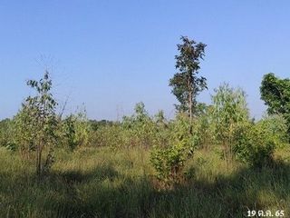 出售 土地 在 Nong Bua Daeng, Chaiyaphum