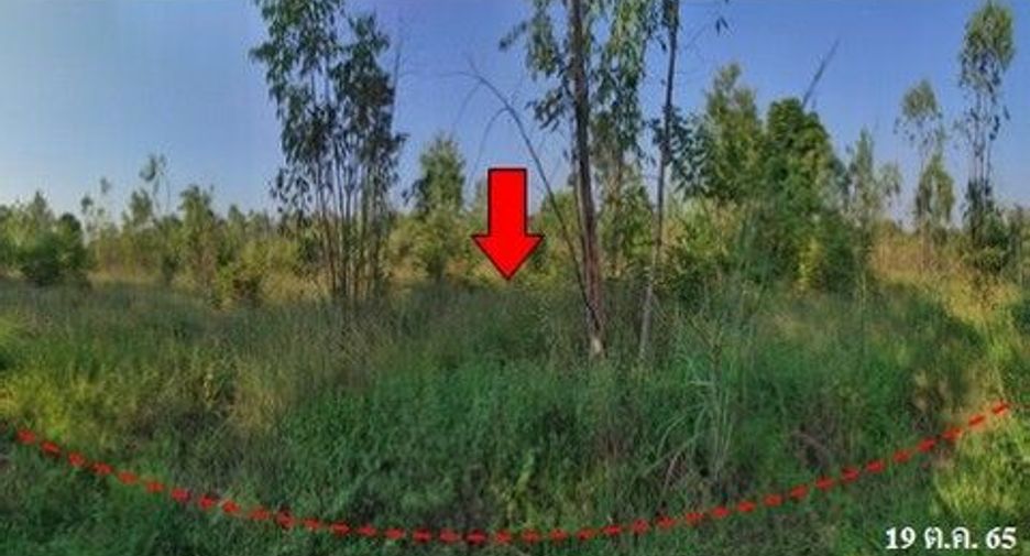 For sale land in Nong Bua Daeng, Chaiyaphum
