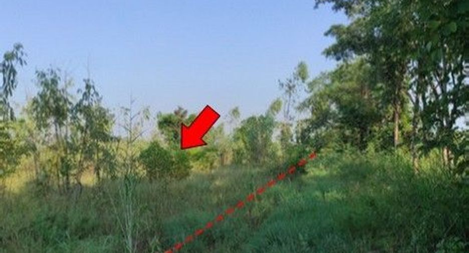 For sale land in Nong Bua Daeng, Chaiyaphum