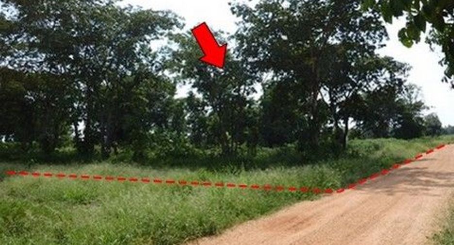 出售 土地 在 Nong Bua Daeng, Chaiyaphum