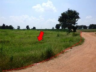 出售 土地 在 Nong Bua Daeng, Chaiyaphum
