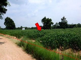 出售 土地 在 Nong Bua Daeng, Chaiyaphum
