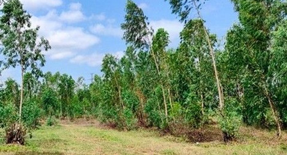 出售 土地 在 Nong Bua Daeng, Chaiyaphum