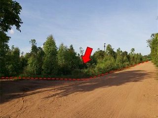 出售 土地 在 Nong Bua Daeng, Chaiyaphum