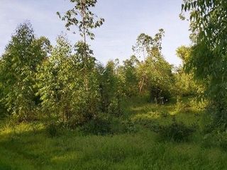 出售 土地 在 Nong Bua Daeng, Chaiyaphum