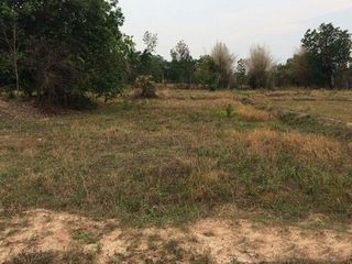 出售 土地 在 Nong Bua Daeng, Chaiyaphum