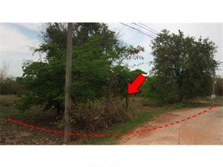 出售 土地 在 Nong Bua Daeng, Chaiyaphum