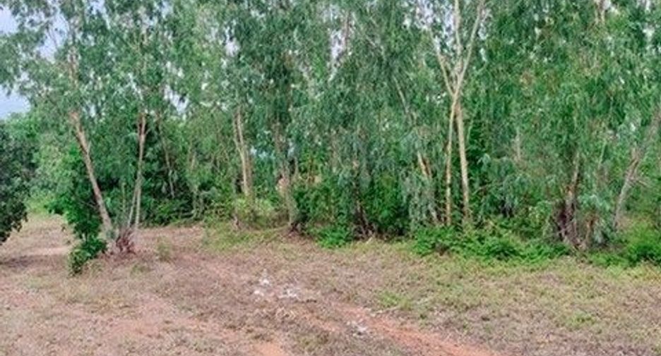 出售 土地 在 Nong Bua Daeng, Chaiyaphum