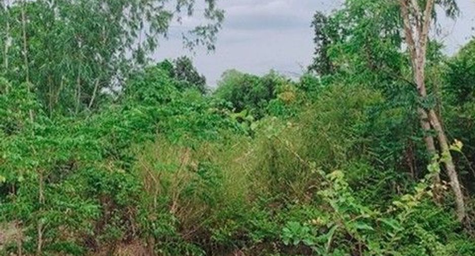 出售 土地 在 Nong Bua Daeng, Chaiyaphum