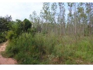 出售 土地 在 Nong Bua Daeng, Chaiyaphum