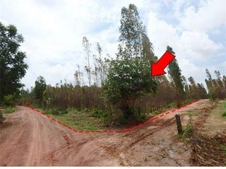 出售 土地 在 Nong Bua Daeng, Chaiyaphum